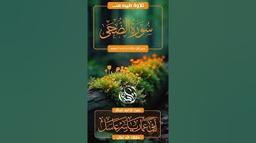 تلاوة طيبه 🌿من سورة الضحى 🌿🔊بصوت 🔊للداعية القارئ المبارك : #أبي_عمار_ياسر_عاسل ⌚0:57⌚حفظه الله