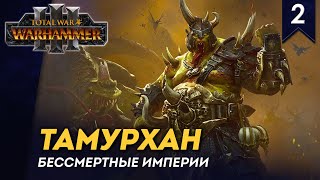 [СТРИМ] Тамурхан | Часть #2 | Бессмертные Империи | кампания Total War: Warhammer 3