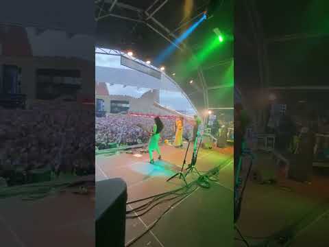 Thank you Primavera 2026