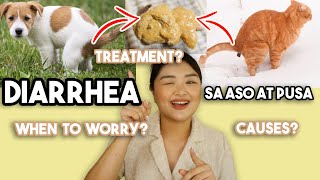 DIARRHEA: First Aid, Causes and more! | Arah Virtucio