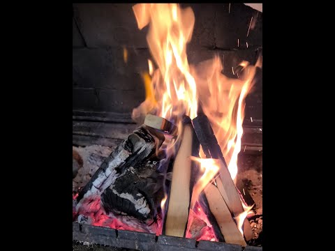 Video: Shashlik Di Carne Tritata