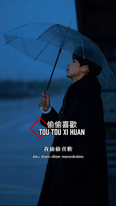 偷偷喜歡 Tou tou xi huan #偷偷喜歡 #sadchinesemelody #mandarinsong #lyric #shorts #music