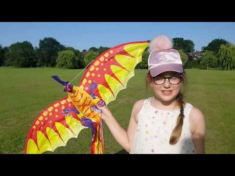 HOW TO FLY A KITE