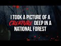 I Took A Picture of A Creature Deep in A National Forest - Creepypasta