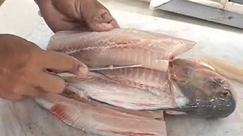 Como descer espinha de peixe?