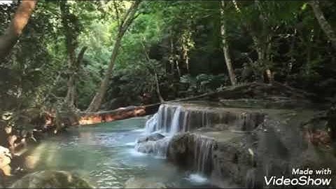 ولله ما في السموات وما في الأرض ليجزي الذين اساءوا بما عملوا (سورة النجم)