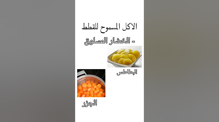 الاكل المسموح للقطط