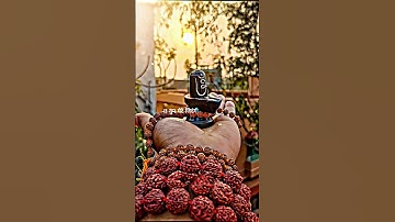 Mahadev Status Video 🍀 Mahakal Status New 💫 Bholenath 4k Status 🌼 #mahadev #shiv #dr_status