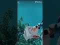مع الف سلامه مع الف سلامه
