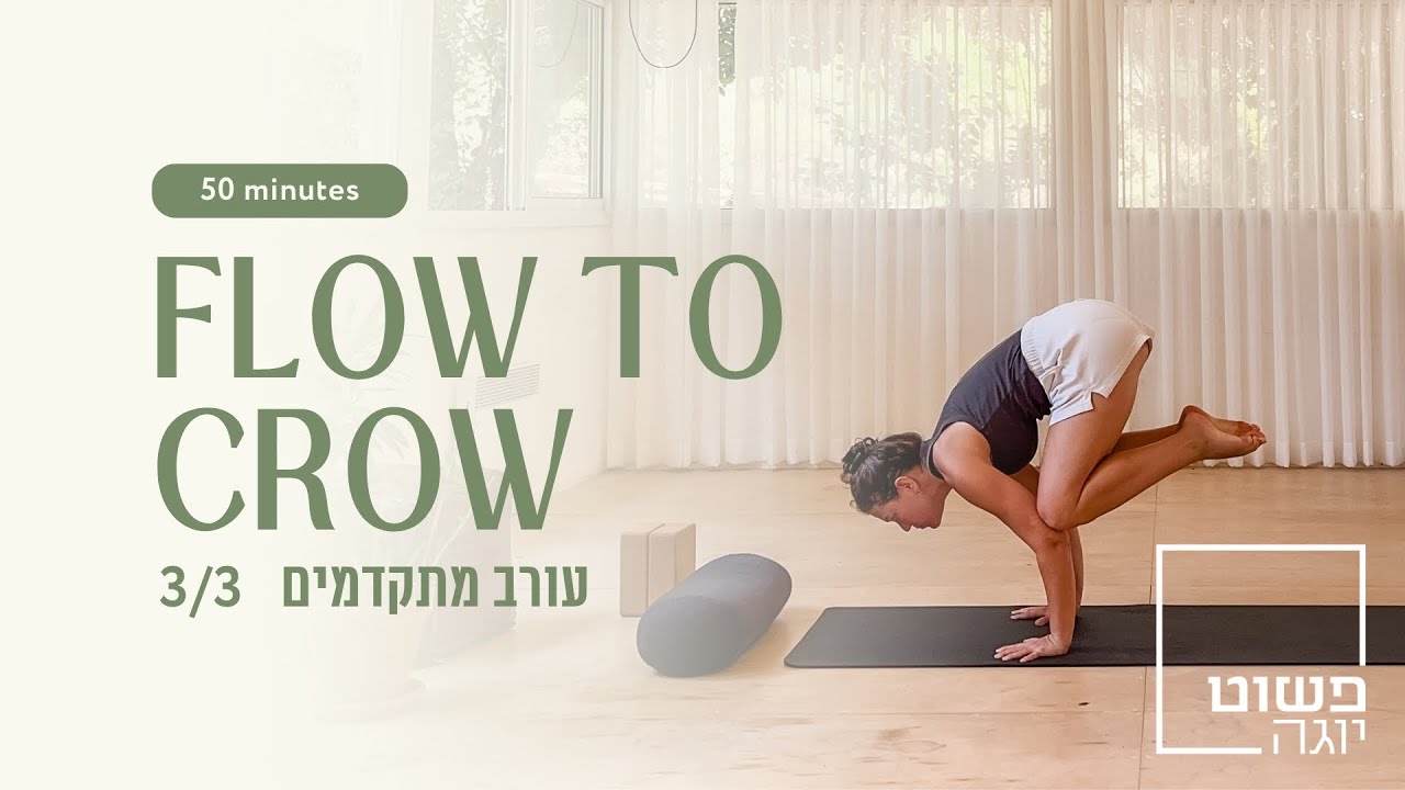 עורב מתקדמים 3/3 ‏🐦‍⬛ FLOW to CROW