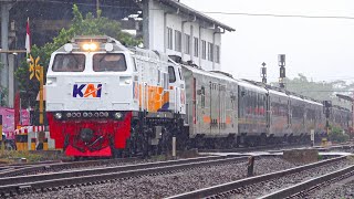 KERETA API PANJANG‼️ MENEMUKAN 30 KERETA API DI PERLINTASAN DAN STASIUN KUTOARJO