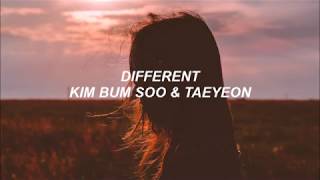 Different // Kim Bum Soo & Taeyeon [Subtitulada al español]