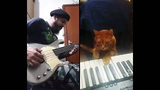 Duo with a cat
