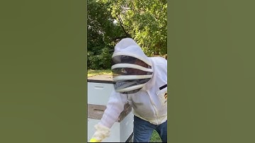 How to Collect Honey with a Bee Escape Board