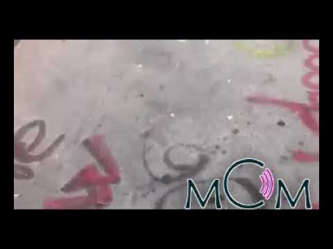 აჭრელებული \"მწვანე სკოლა\" და მსხვერპლი მოსწავლეები