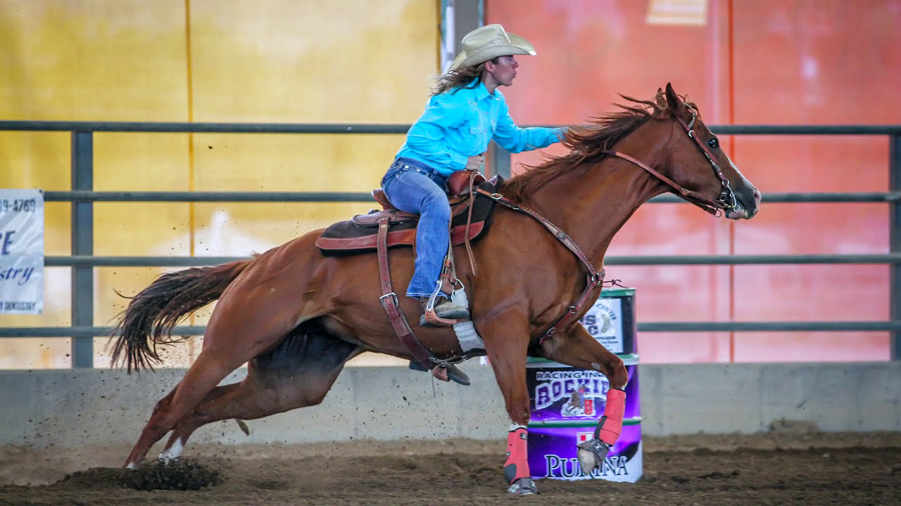 Barrel Horse for Sale "Pearl" (SOLD) YouTube