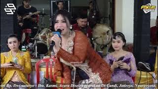 SANTRI PEKOK  -  MUSIK 99  -  NGUDI RAHAYU AUDIO