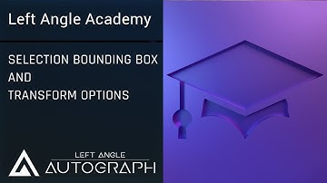 Selection Bounding Box and Transform Options