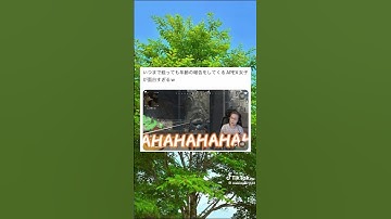 エペ女子 富代子 88歳 #エペ #とよこ88 #apex #twitter