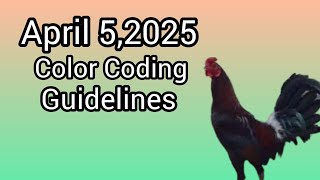 April 5,2025 Color Coding Guidelines.