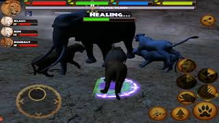 lion VS Elephant, Hyena, Wild Dog, Cheetah, Hippo, Rhino, Ultimate Lion Simulator screenshot 5