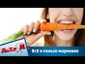 Всё о пользе морковки | Доктор И