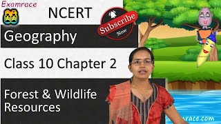 NCERT Class 10 Geography Chapter 2: Forest and Wildlife Resources (Dr. Manishika) | English | CBSE