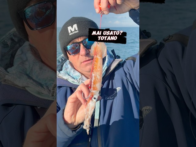 La pesca in verticale con fireball (chiamata pure con palluccella) può dare grandi soddisfazioni! 😉
