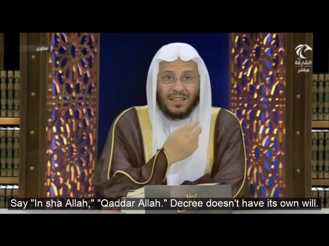 حكم قول "شاء القدر" أو "شاءت ارادة الله"؟ | الشيخ عزيز بن فرحان