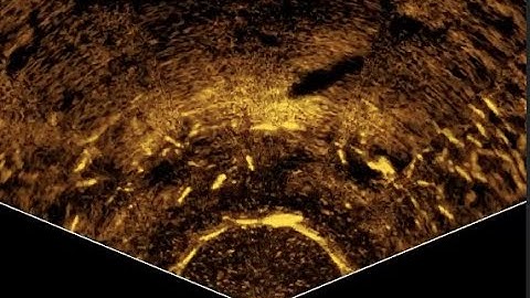 Lowrance Active Target with Rod Wynn at Lake Perris, CA