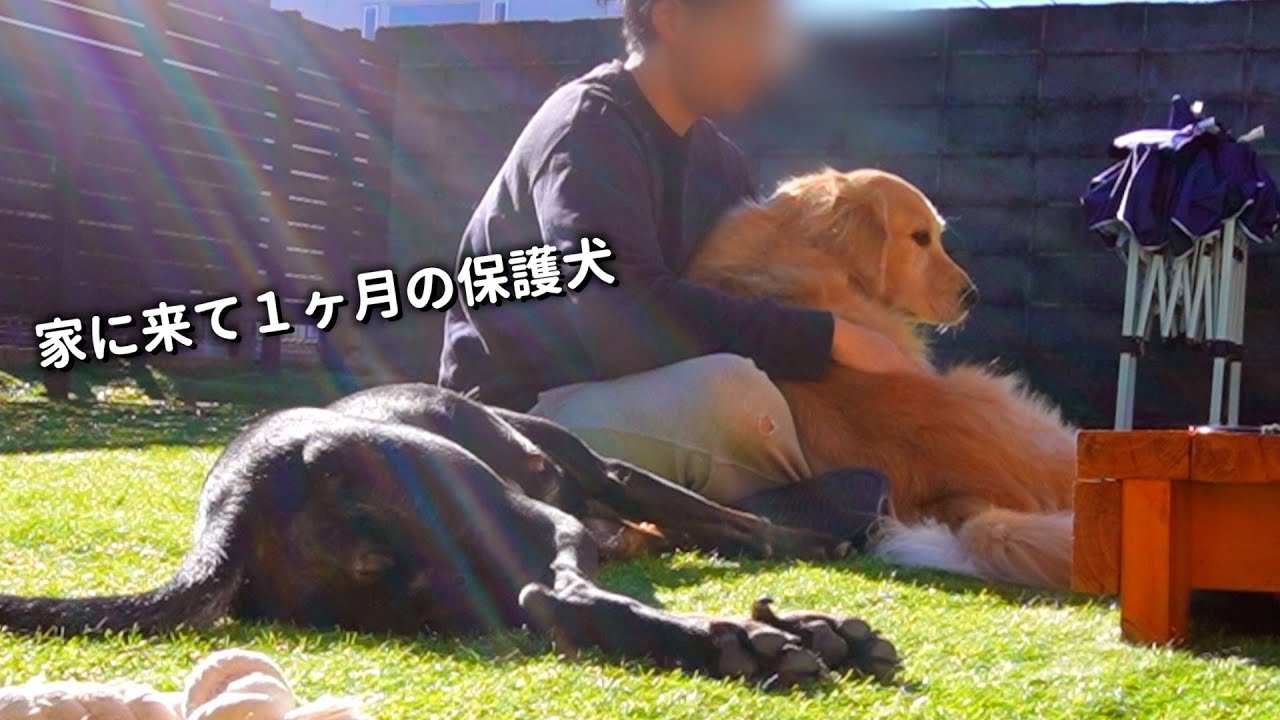 嬉しいような悲しいような巣立ちの日は近い