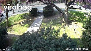 Lady Claims She Tried Avoiding an Oncoming Car || ViralHog