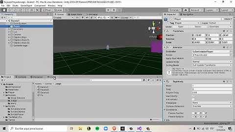 Proyecto Final Programación Orientada a Objetos
