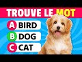 Devine les animaux en anglais   50 noms danimaux en anglais 