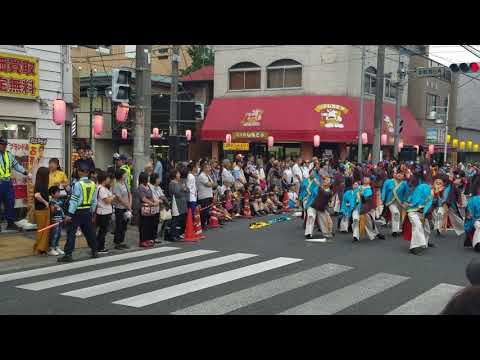 tabako matsuri 　秦野タバコ祭り