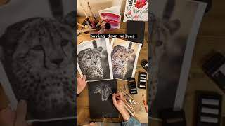 Cheetah - Soft Pastel Drawing (Part 1) #shorts screenshot 1