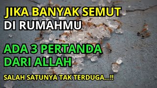 MASYAALLAH !! Jika Banyak Semut Di Rumahmu, Artinya Ada 3 Tanda Dari Allah, Jangan Sampai Di Bunuh