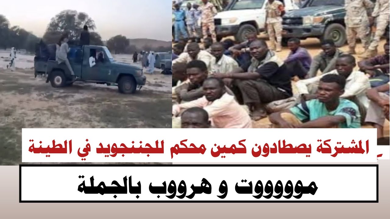 #السودان | ابطال المشتركة يصطادون كمين محكم للجننجويد في الطينة هرووب جننجويد الي تشاد 