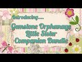Introducing... The Gemstone Orphanage Little Sister Companion Bundle 