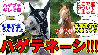 オルフェーヴルのフサフサ髪に嫉妬するゴルシ【競馬の反応集】