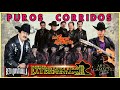 Los Tigres Del Norte, Beto Quintanilla, Grupo Exterminador, Valentín Elizalde - Narco Corridos