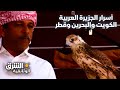 أسرار الجزيرة العربية.. الكويت والبحرين وقطر - وثائقيات الشرق