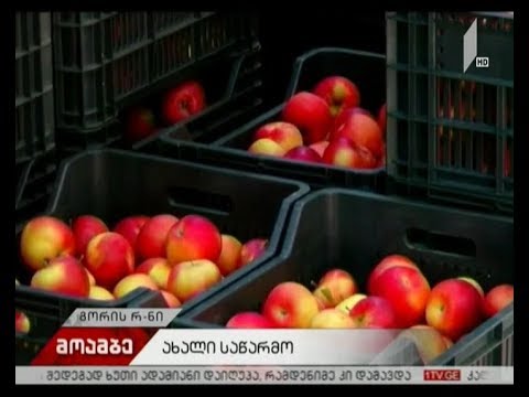 გორის მუნიციპალიტეტში ხილისა და ბოსტნეულის შემნახველი სამაცივრო კომპლექსი ამოქმედდა
