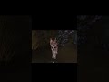 А мне леший не указ Roblox Warrior А мне леший не указ Roblox Warrior