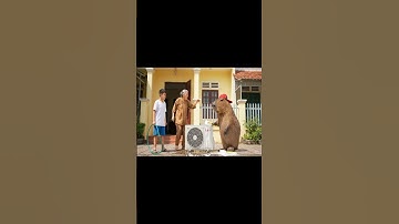 Capy và anh giúp bà sửa điều hoà #capybara #ongbavaboss #vuive #hoathinhvietnam