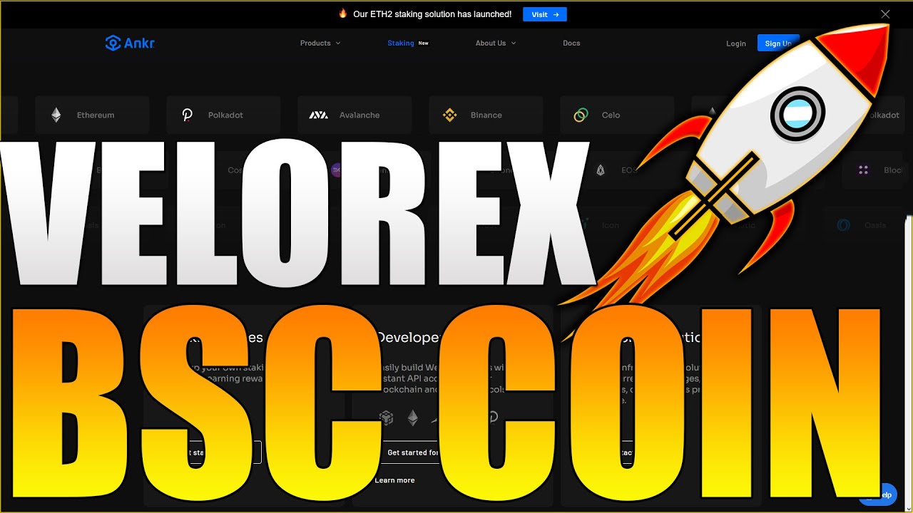 Velorex Bsc Coin Huge Roadmap With Big Potential Youtube