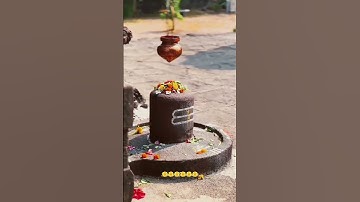 Bholenath status video #ytshorts #shortsfeed #shorts #shivji #mahadiv #mahakal #sawan #status #viral