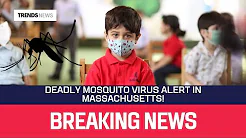 Deadly mosquito-borne virus in US' Massachusetts. thumbnail