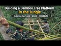 Building a Bamboo Tree Platform in the Jungle | Primitive Survival | Deep Forest Life