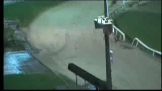 IGB - THE ADAM CASSERLEY “SOFT SHOULDERS”  15/03/2019 Race 2 - Galway screenshot 5